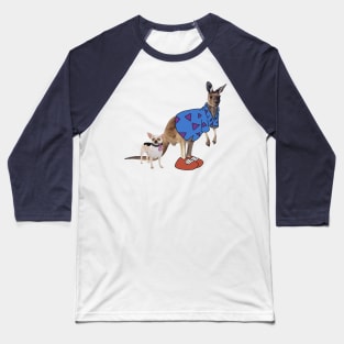 Rocko's Modern REAL Life Baseball T-Shirt